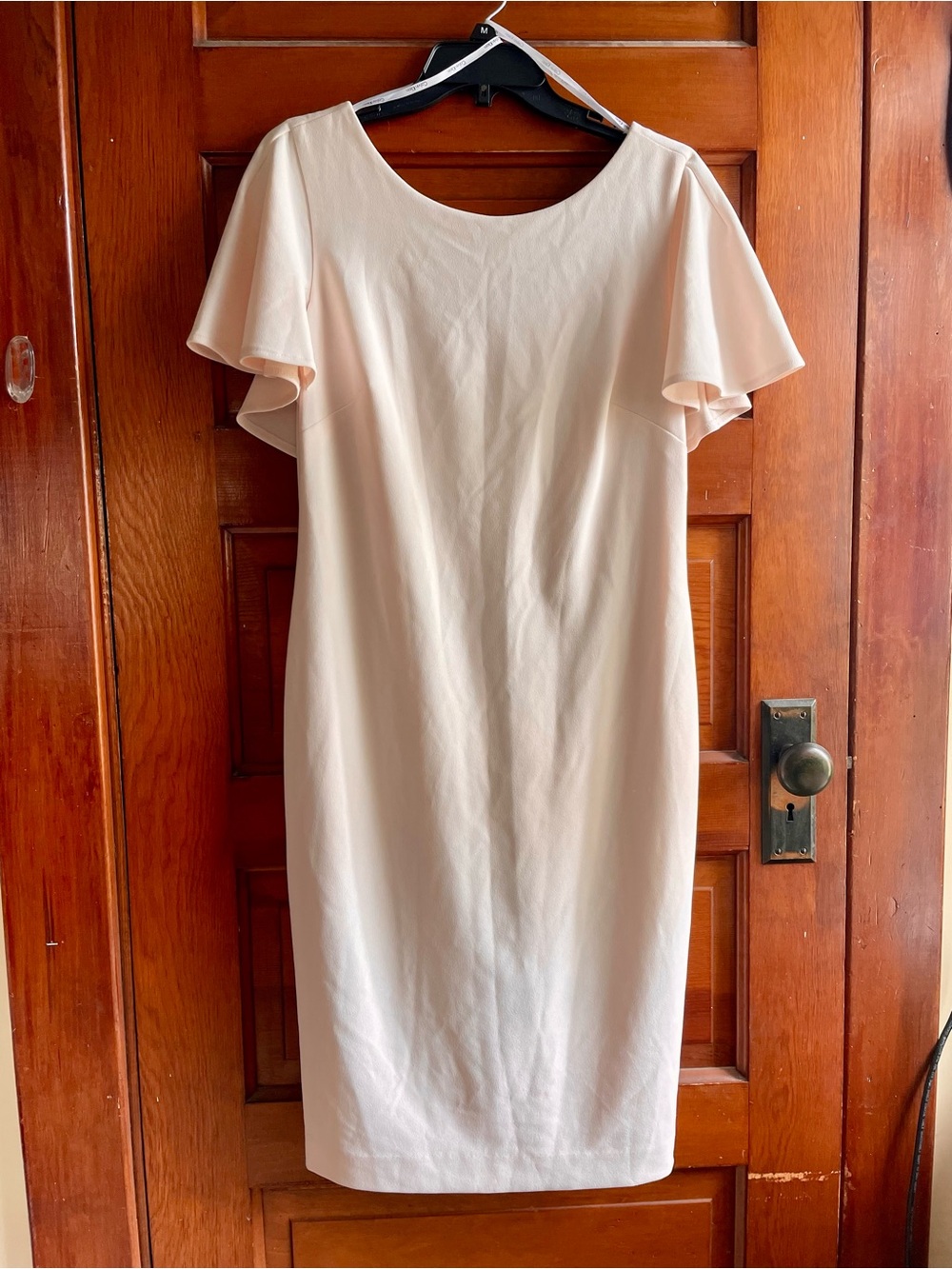 Calvin Klein Sheath Dress SIZE 12 Pale Pink flutter Sleeve Wedding Guest